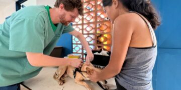 Atendimento veterinário gratuito começa nesta segunda-feira no Maria Pedrossian