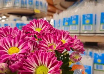 Flores para Finados têm diferença de até 202% em Campo Grande, aponta Procon