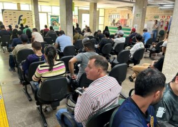 Eldorado fará seleção em Campo Grande para trabalho florestal em quatro cidades de MS
