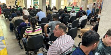 Eldorado fará seleção em Campo Grande para trabalho florestal em quatro cidades de MS