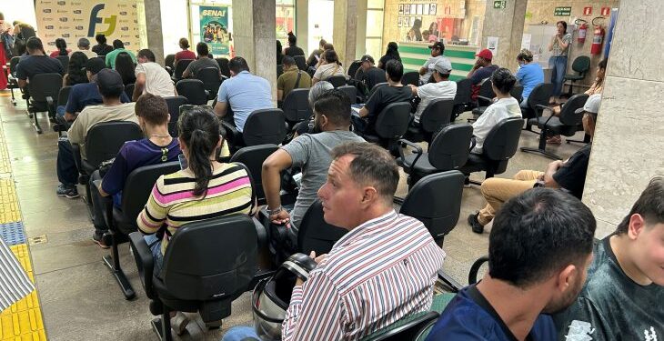 Eldorado fará seleção em Campo Grande para trabalho florestal em quatro cidades de MS