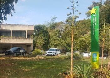 Saúde cria grupo para estruturar Rede de Verificação de Óbitos em MS