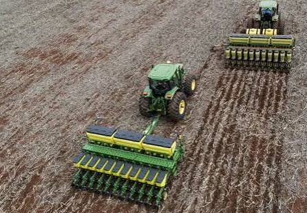 Plantio da soja chega a 18% em MS, mas Norte segue abaixo de 0,4%